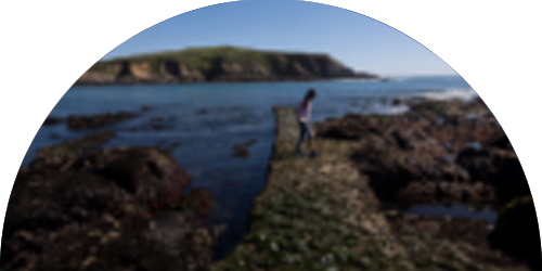 UC Davis Bodega Marine Lab