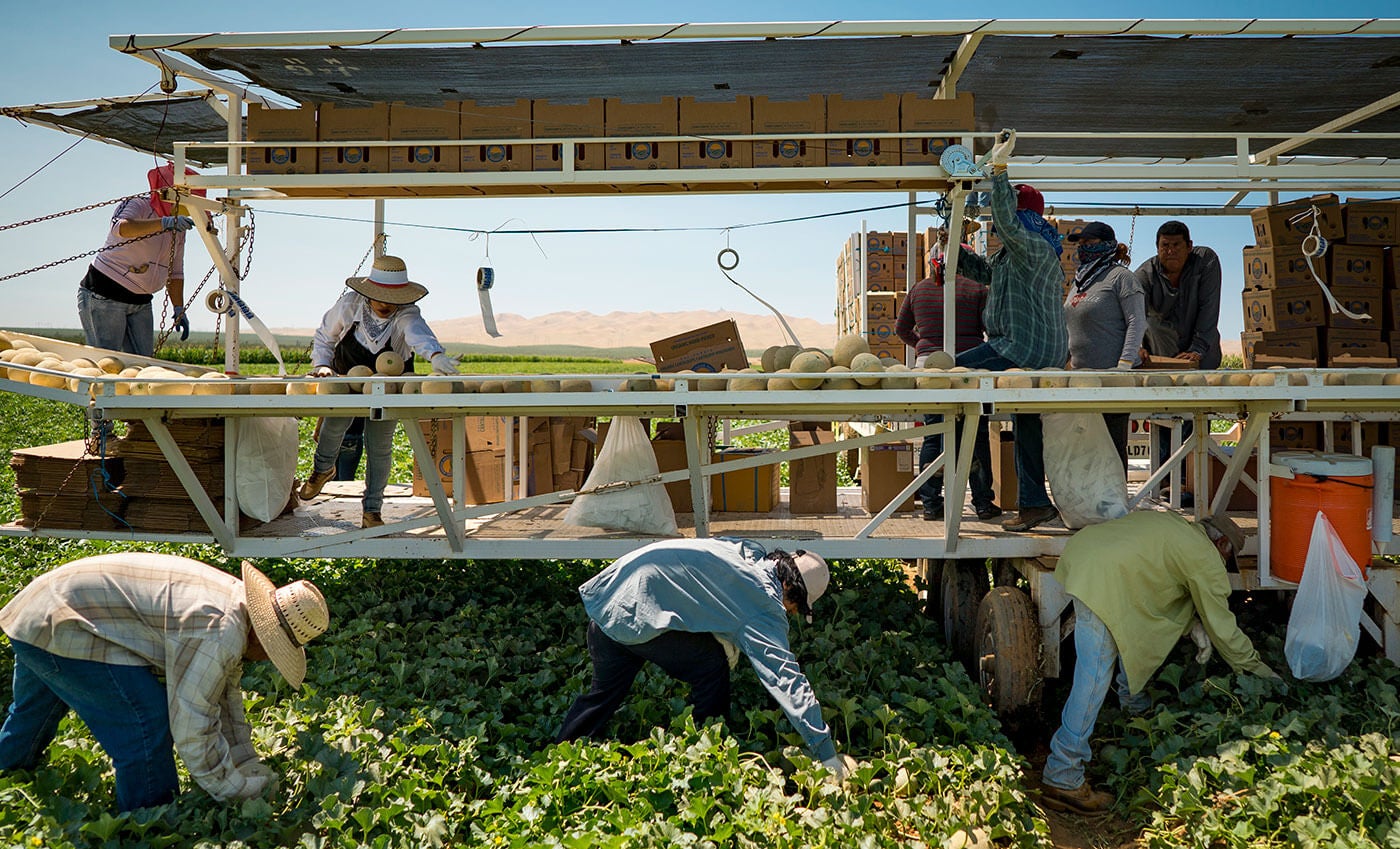 Del Bosque Farms in Firebaugh, Calif.