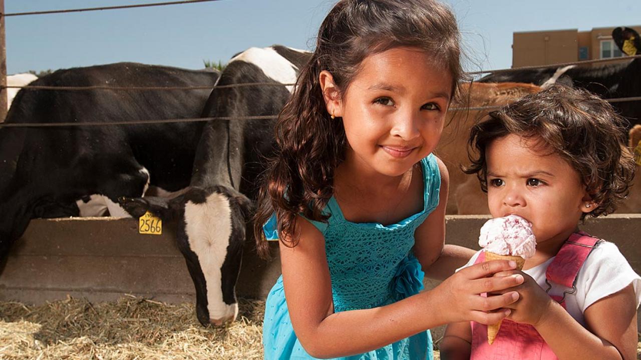 Two young girls with an ice cream cone in front of a dairy herd