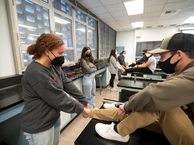 两名学生在课堂练习中观察脚踝肌肉的工作原理。
