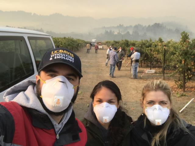 三个人戴着口罩站在烟雾弥漫的葡萄园里