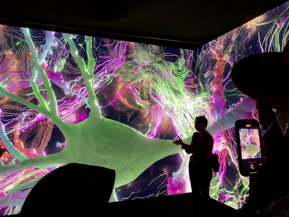 A green spiky blob is projected on a screen with colored tendrils around it. The silhouettes of people can be seen in front of the screen. 