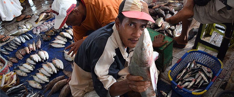 Fish market with fish lined up on a cloth and hands reaching toward the fish