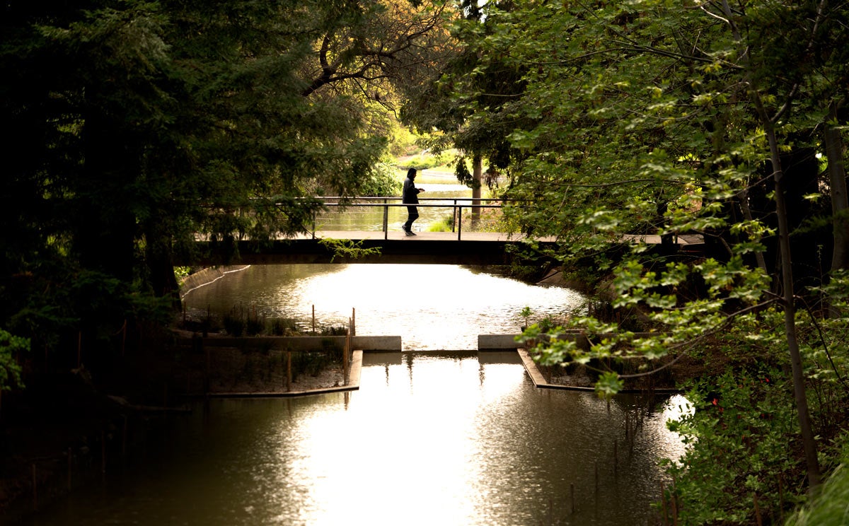 Campus Directives for Spring Quarter UC Davis