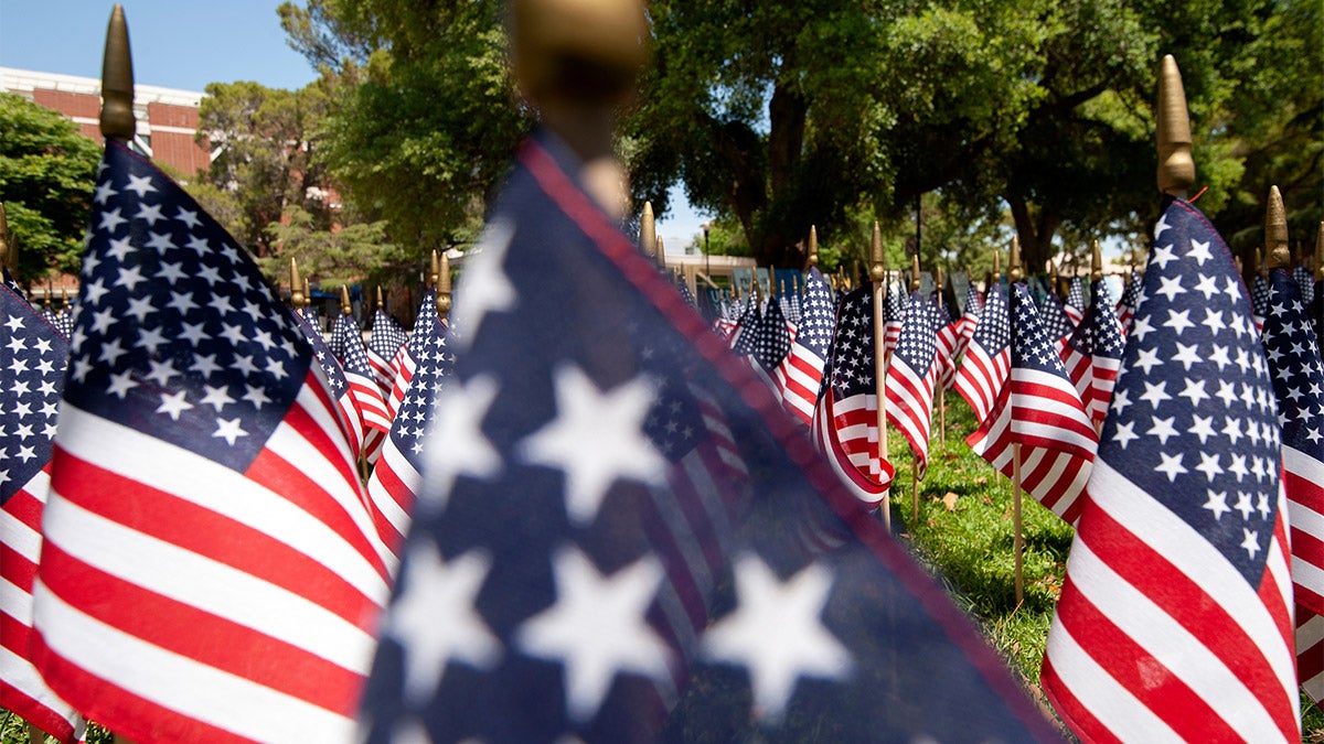 Memorial Day Speakers Send Virtual Remembrances | UC Davis