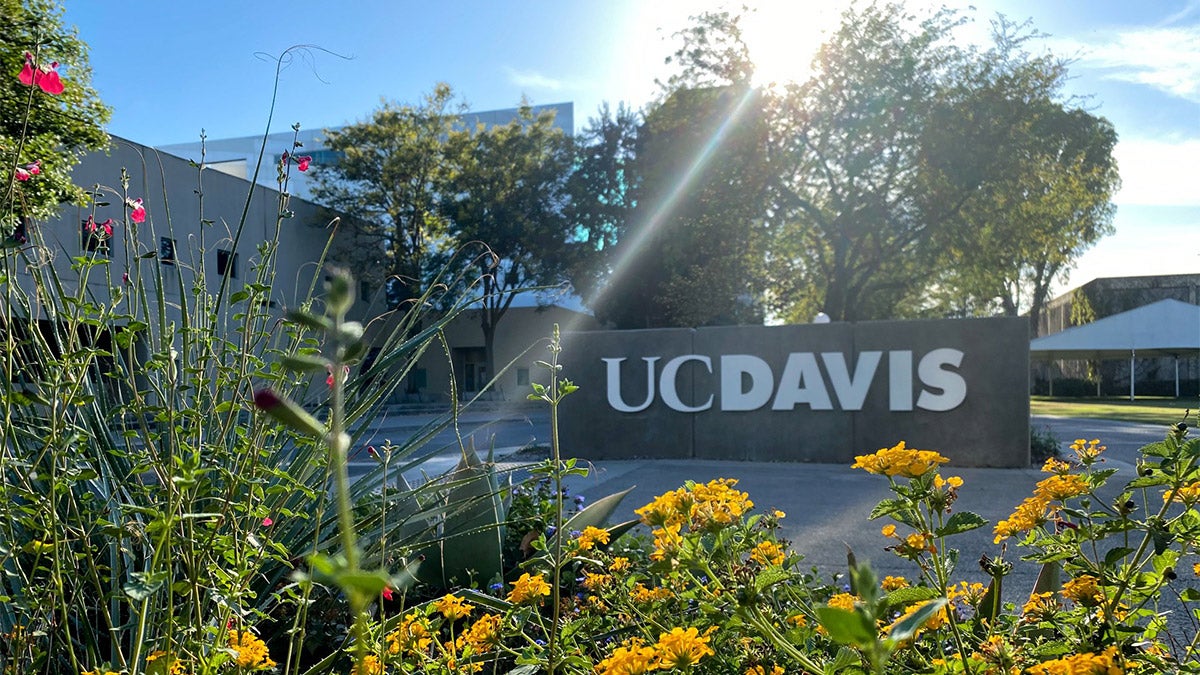 THE DOWNLOAD: New Sign, DACA Student Perspective | UC Davis