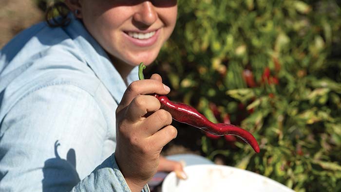 A student holds up a pepper she picked