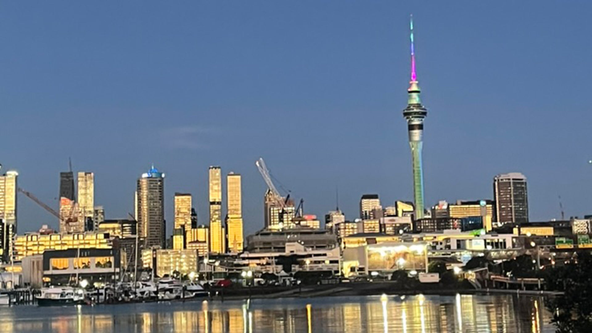 The Auckland cityscape