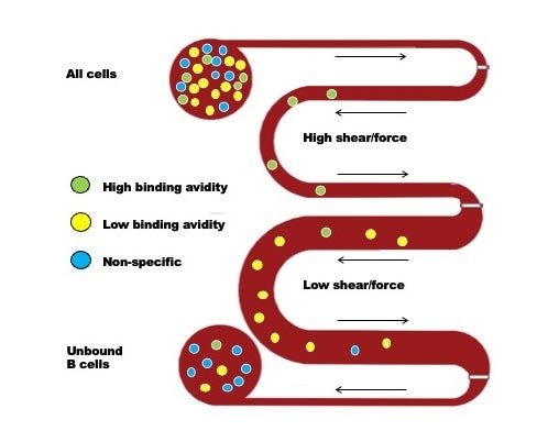 Graphic of a red line making a series of horizontal switchbacks from top to bottom. Inside the red line are green, yellow and blue circles. 