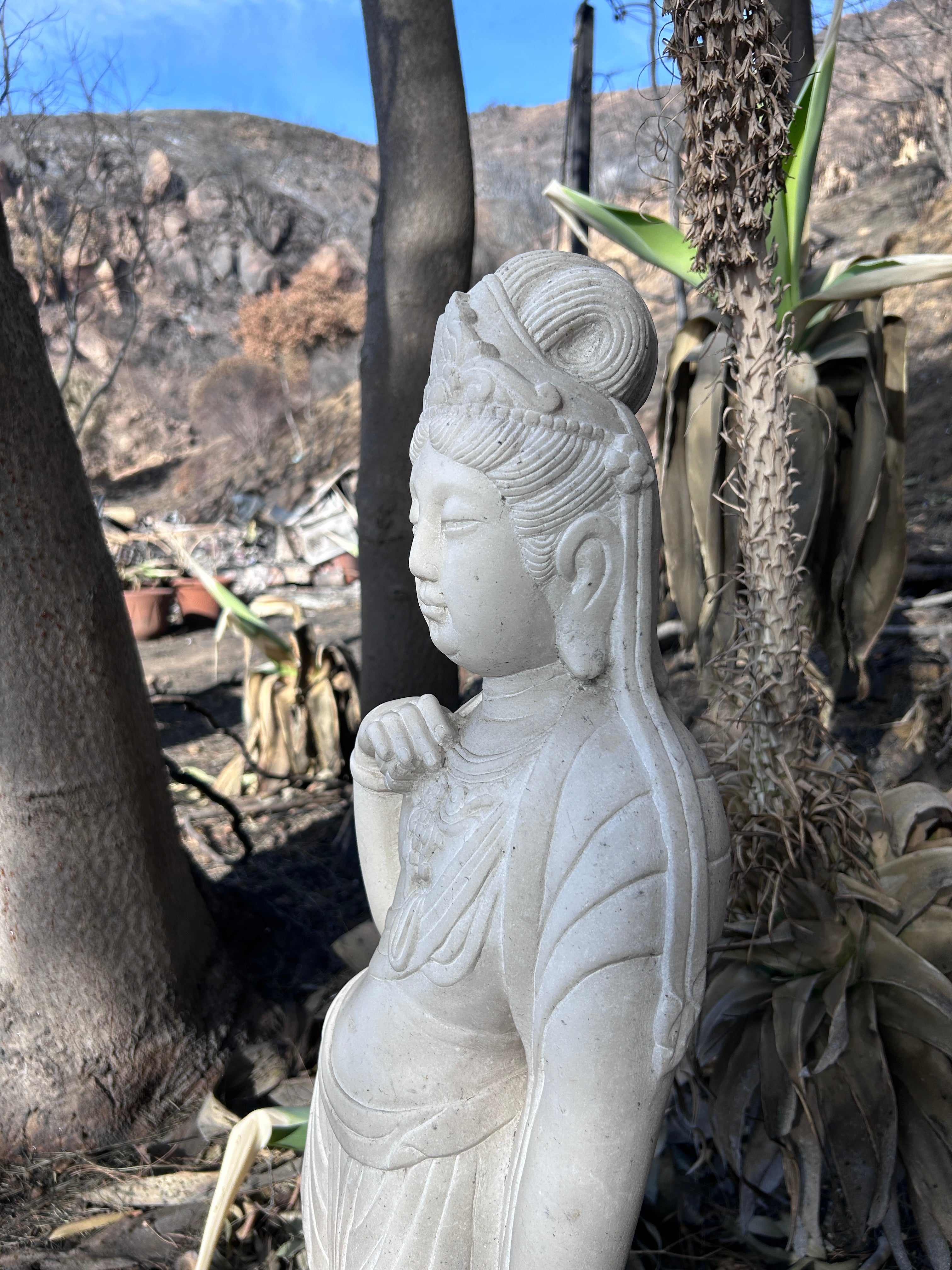 Buddha statue rests upright among ash of Pacific Palisades fire with charred tree in background