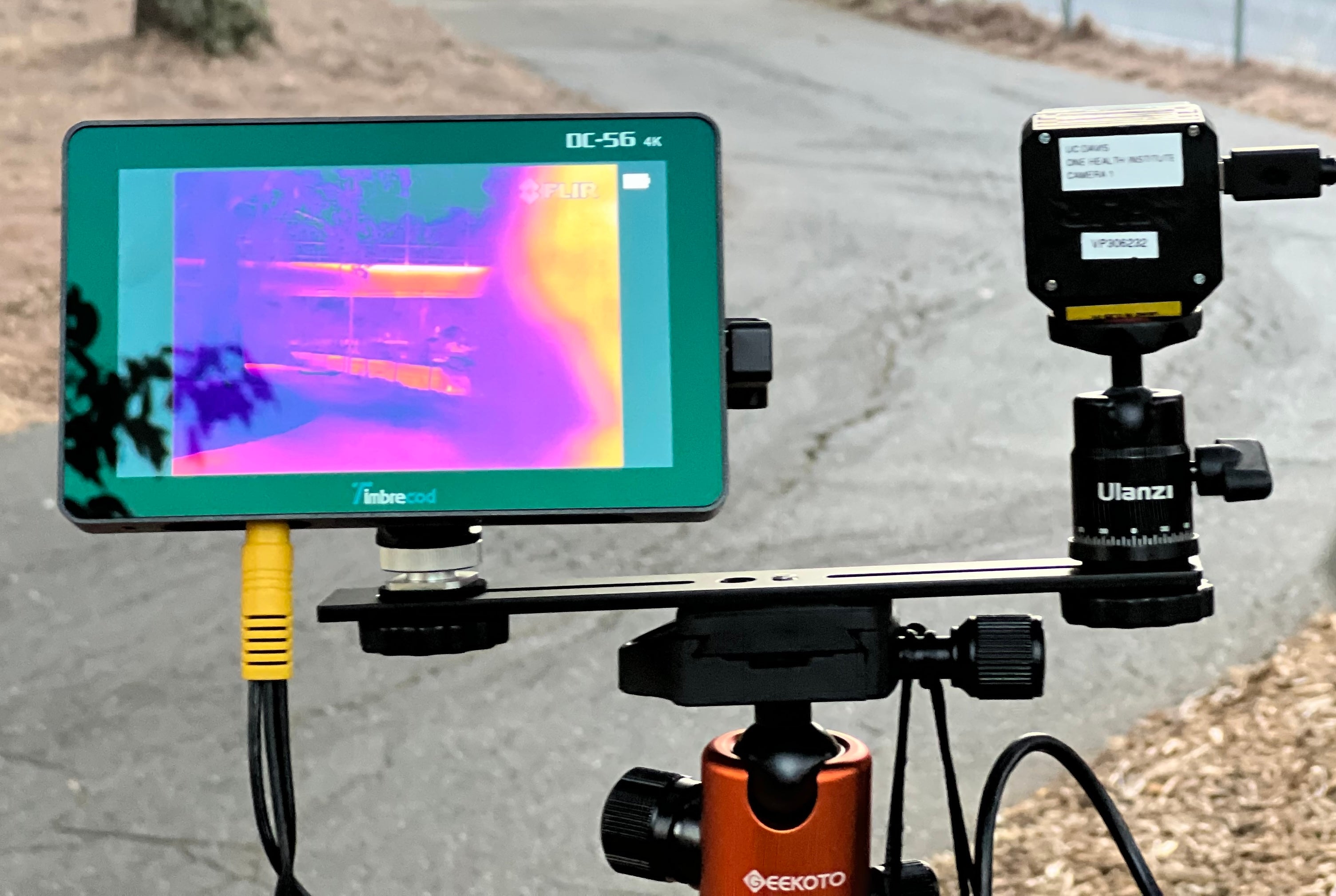 thermal camera in purples, blues and yellows points at bike path at night to monitor wildlife.