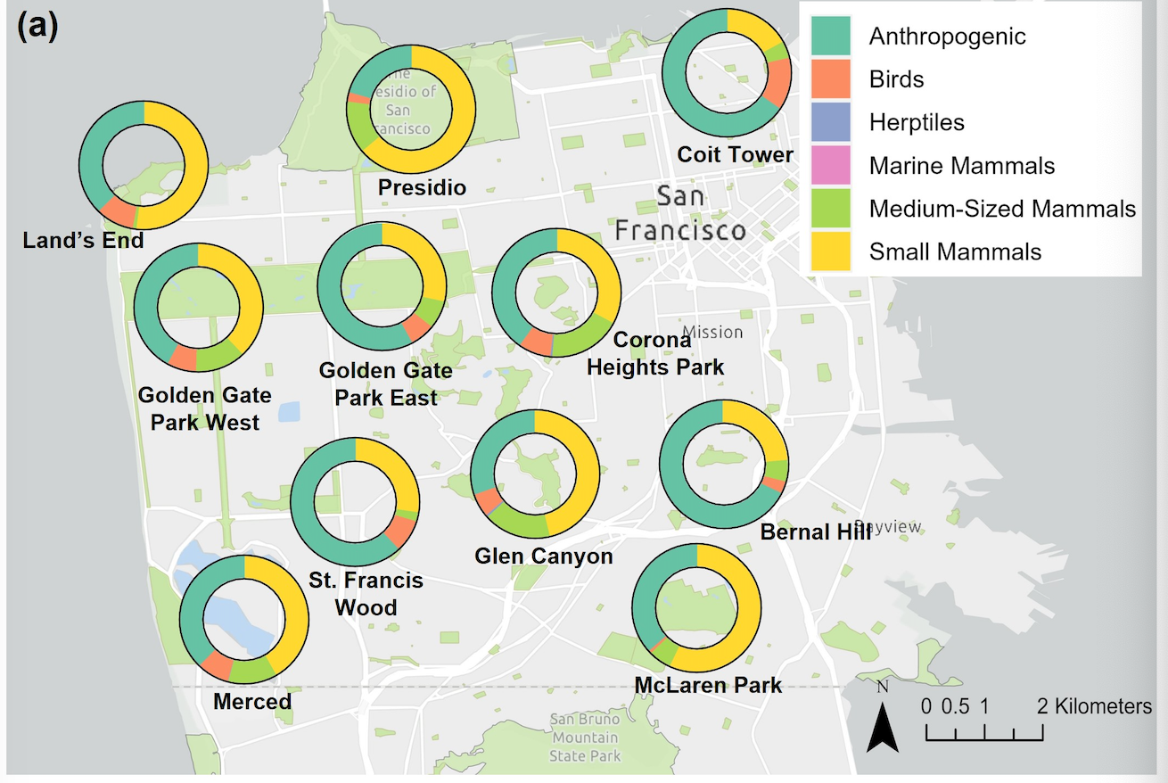 A map of San Francisco with circles representing coyote diets in different neighborhoods