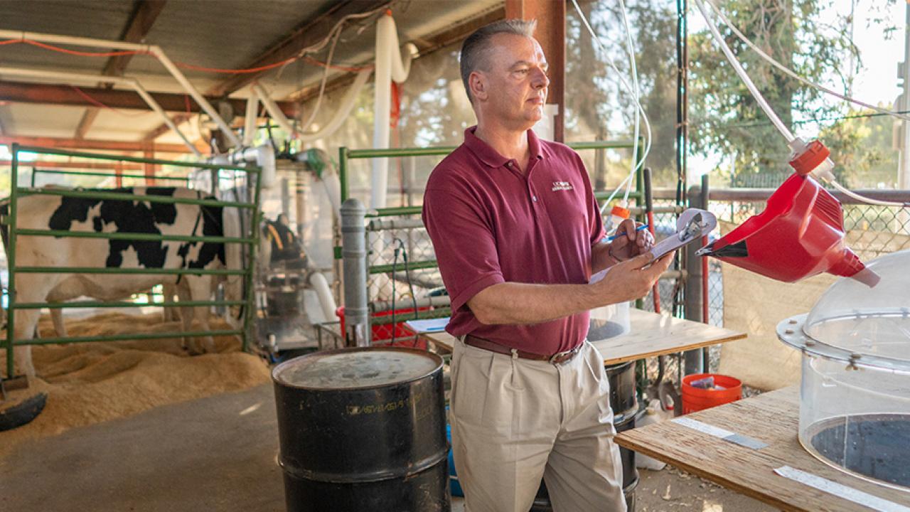 https://www.ucdavis.edu/sites/default/files/media/images/beef-sustainability-frank-mitloehner-uc-davis.jpg