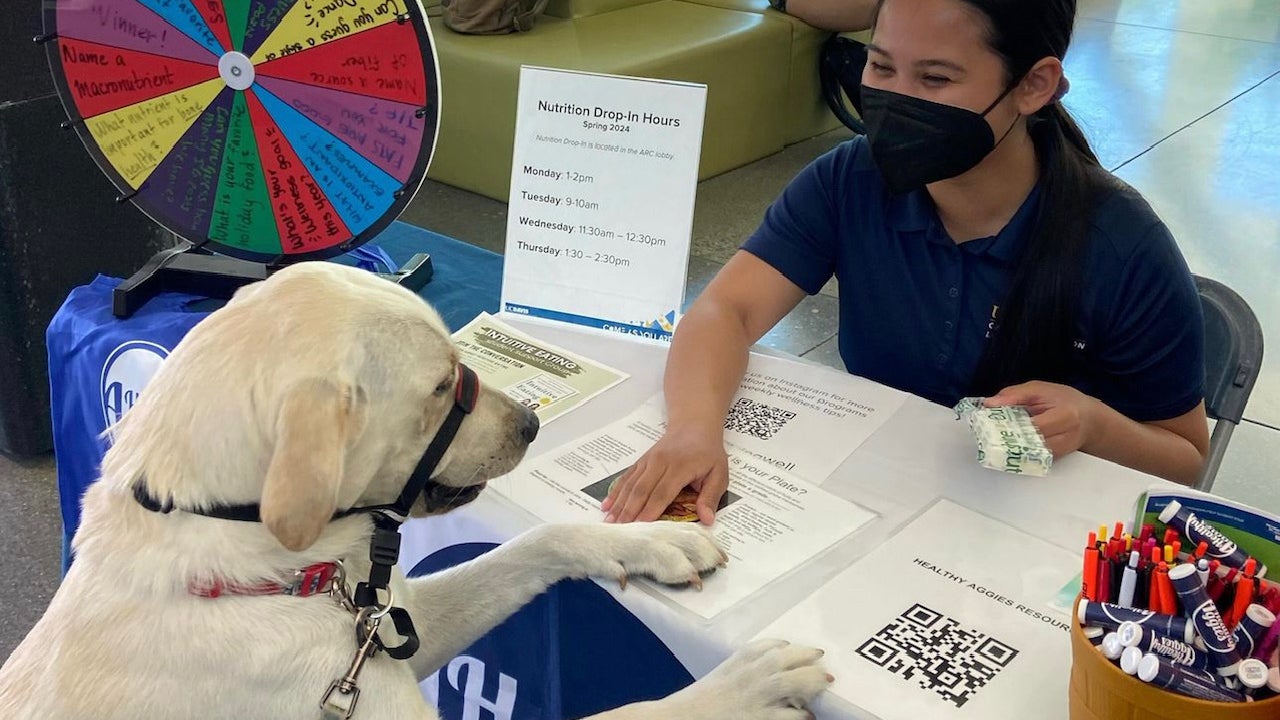 A student sitting at a table promoting well being reaches out as Cali puts her paws up