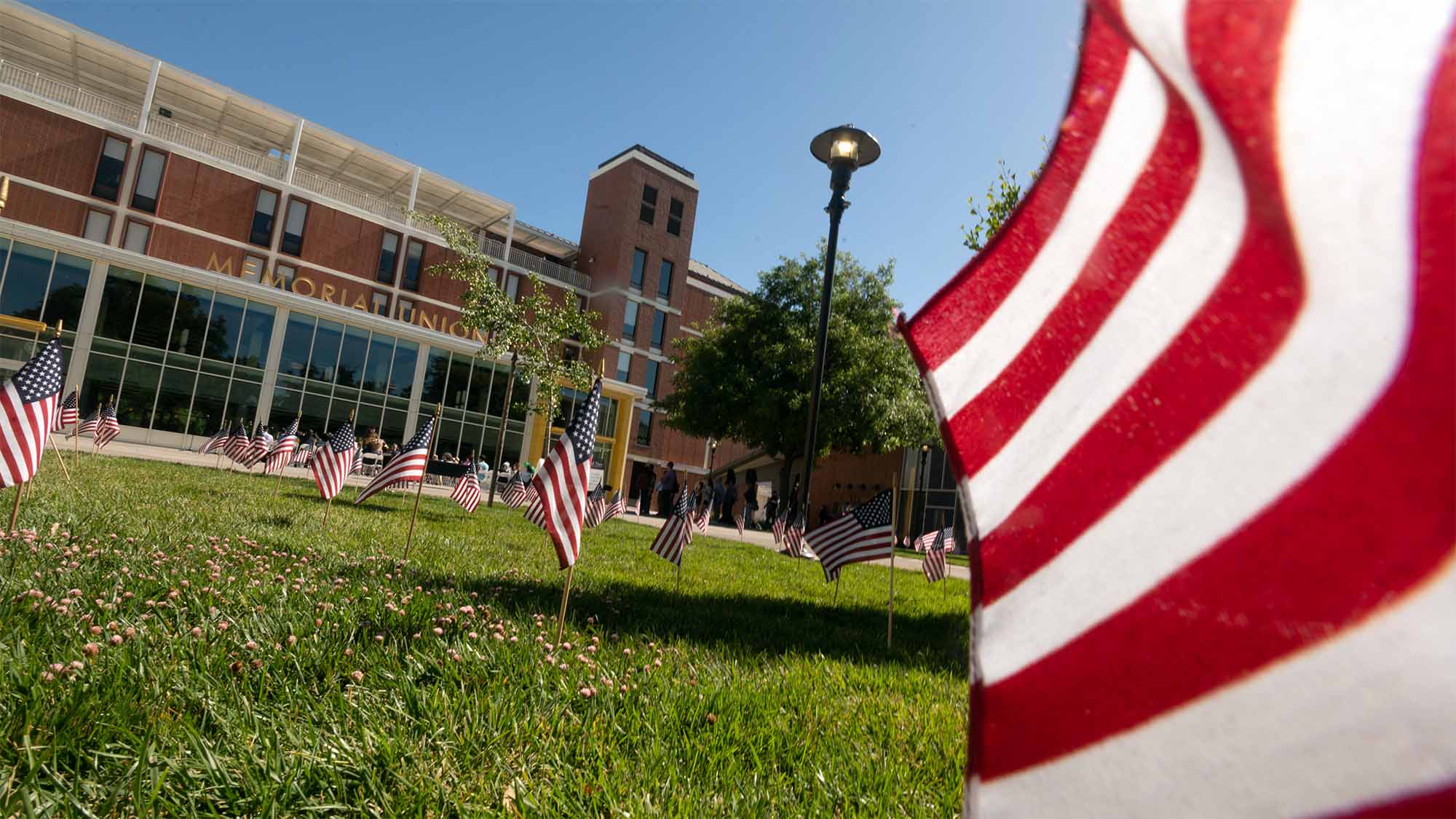 American flags in ground outside Memorial Union
