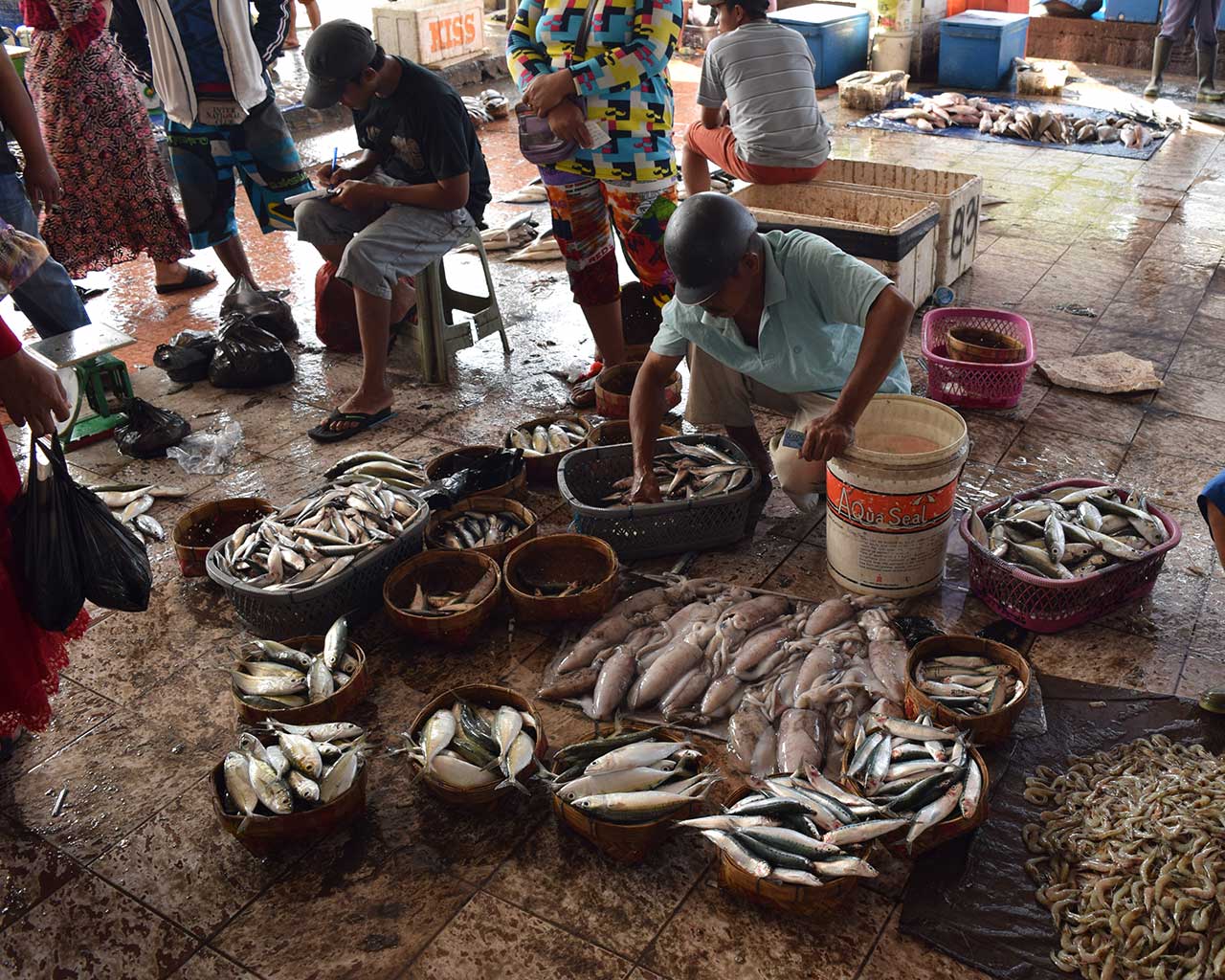 Photo of a fish market, with buckets of small fish and shrimp on a wet concrete floor as several people walk around and look at fish.