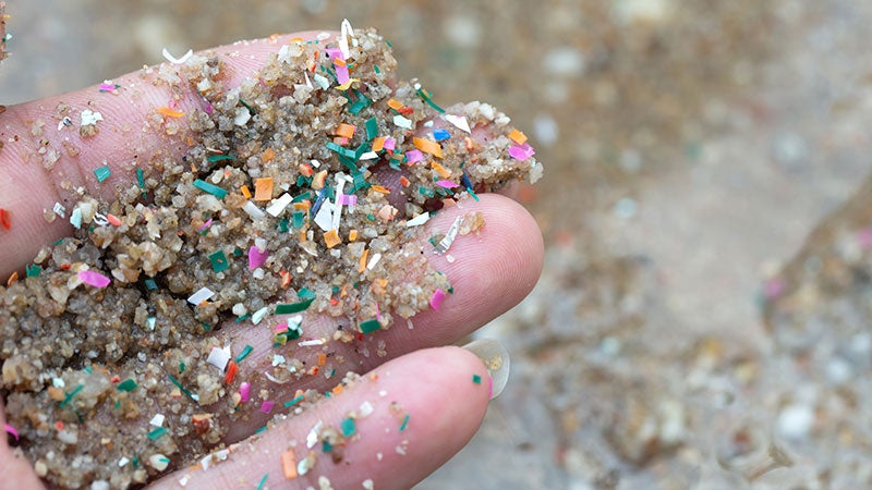 Closeup photo of a hand sifting microplastics out of sand