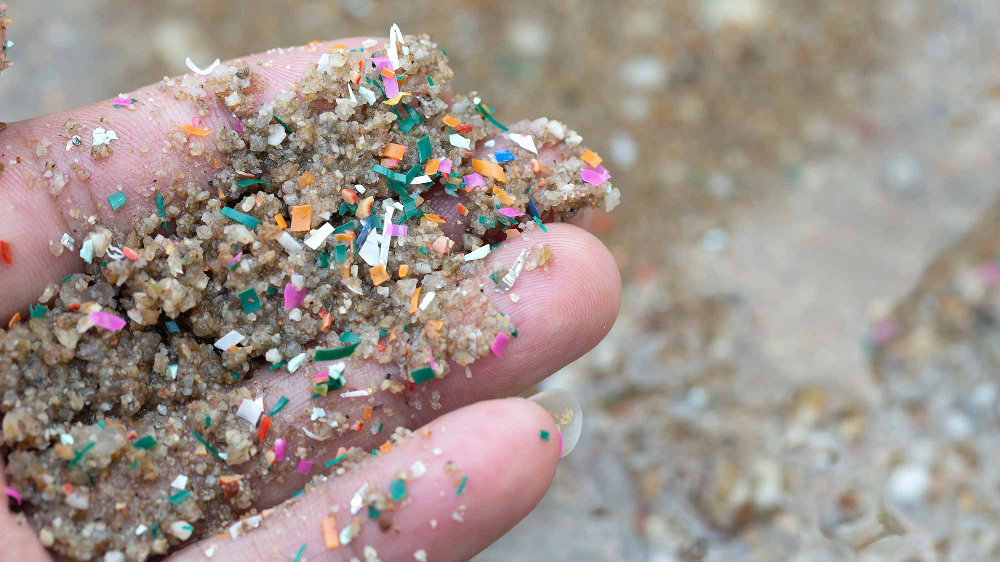 Closeup photo of a hand with wet sand and many small pieces of colored plastic, most no larger than two or three grains of sand.