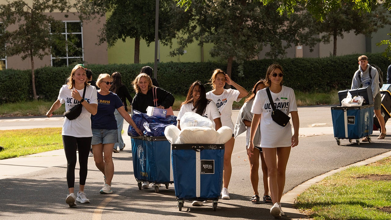 Students, parents and volunteers push carts with things they are moving into residence halls.