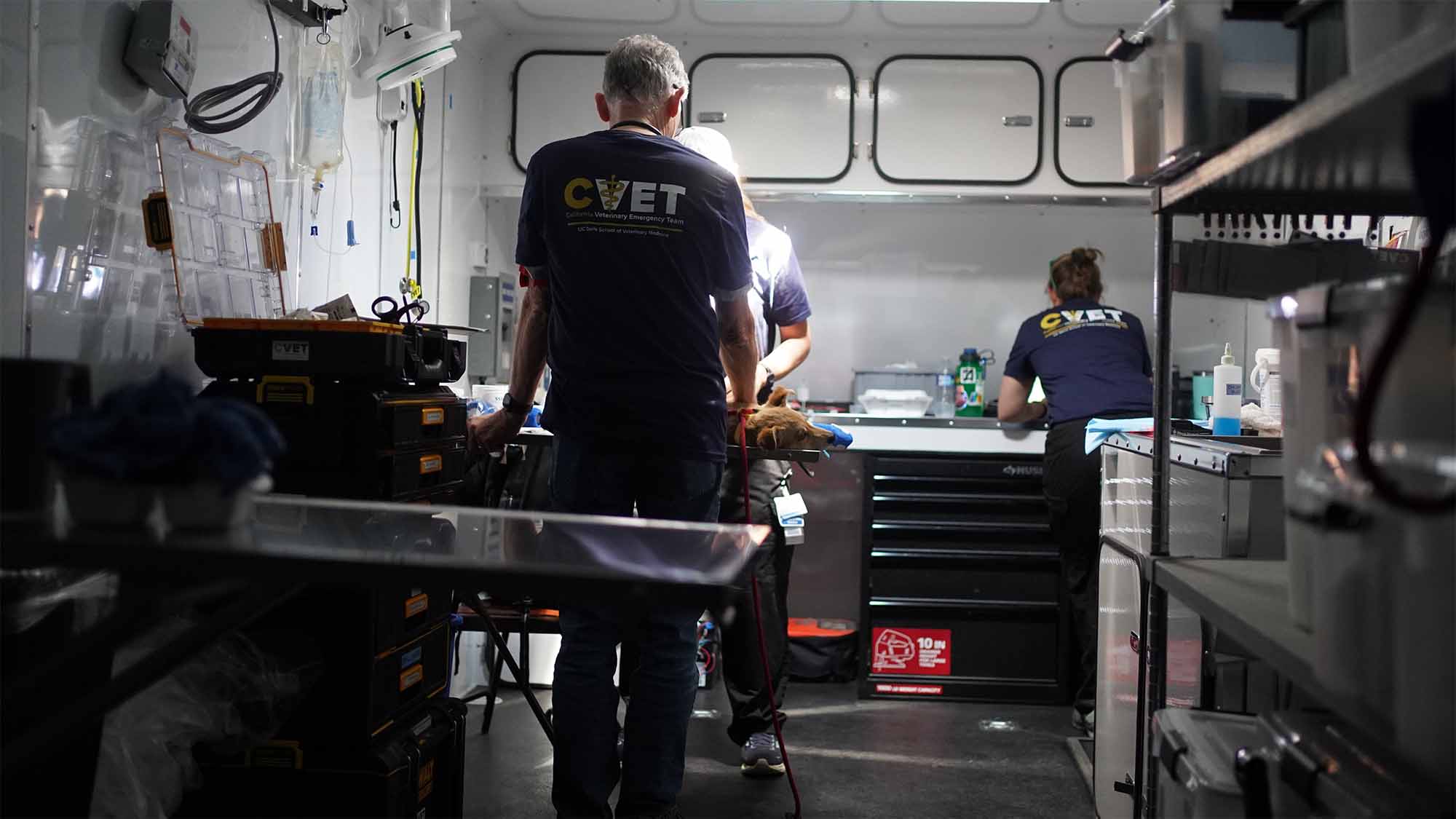 CVET veterinarians work in trailer