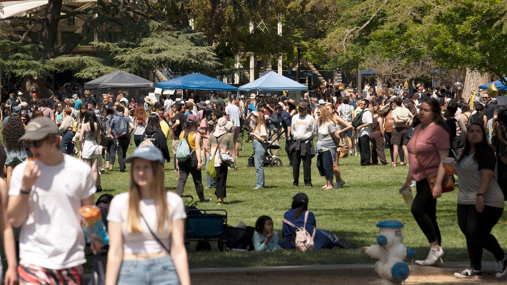 All Smiles and Sunshine at Picnic Day UC Davis