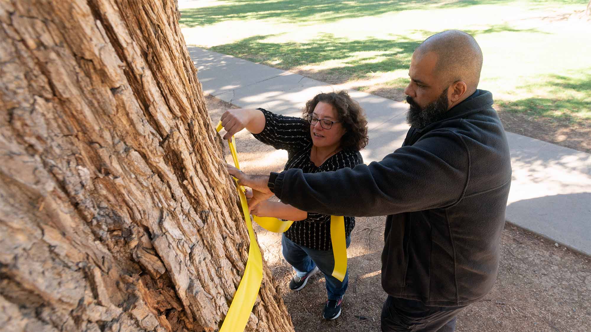 Two people tie yellow ribbon onto a tree