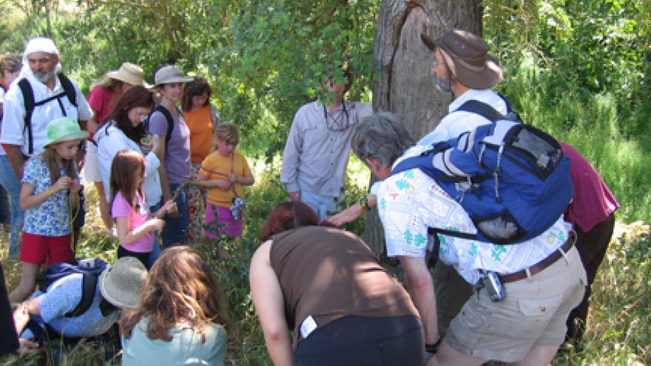 Photo: Professor Phil Ward gathers his tour group around a tree, In Search of Native Ants, in the arboretum.