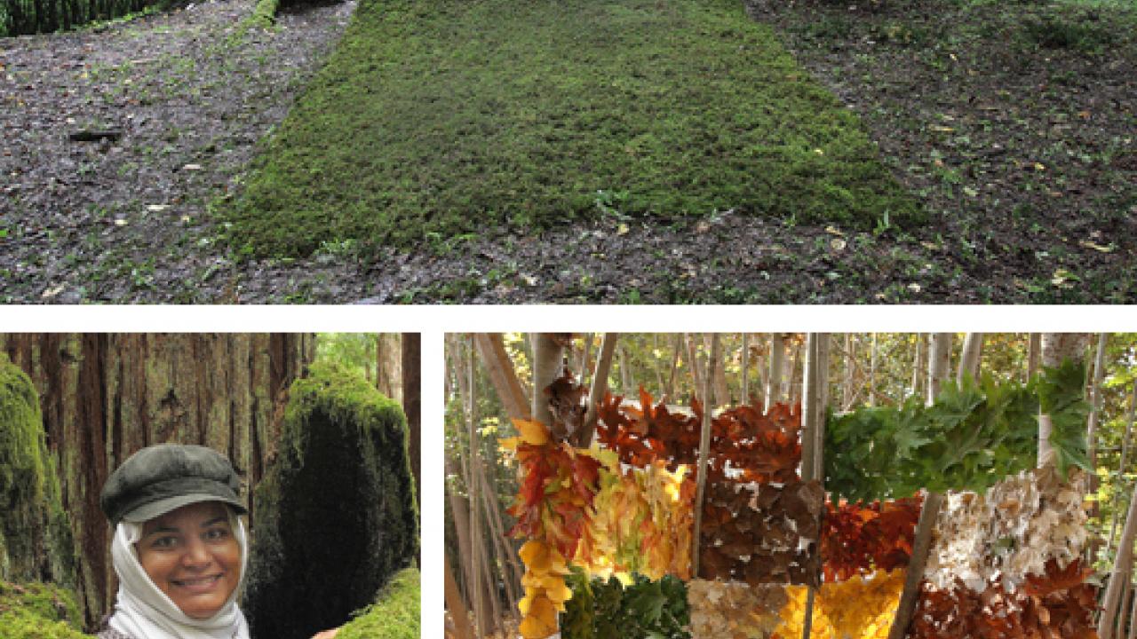 Photos (3): Minoosh Zomorodinia and two of her environmental installations: Carpet, made of moss, and Quilt, made of leaves.