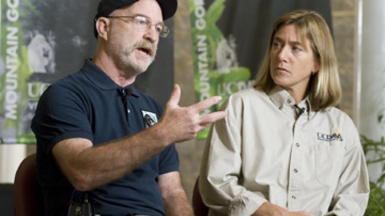  Mike Cranfield, director of the Mountain Gorilla Veterinary Project, and Kirsten Gilardi, a UC Davis wildlife veterinarian who will lead the new Moun