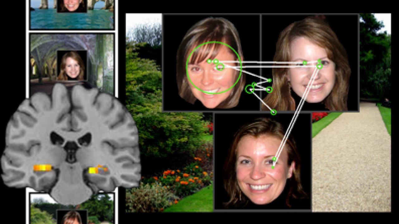 Image showing a study participant's eye movement in UC Davis study.