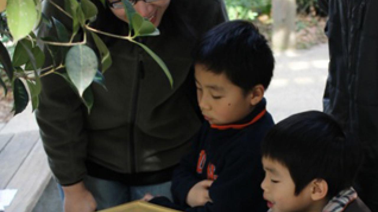 Photo: Visiting scholar Oliver Chien and his family observe bee specimens during last weekend's Build a Wild Home program in the arboretum.