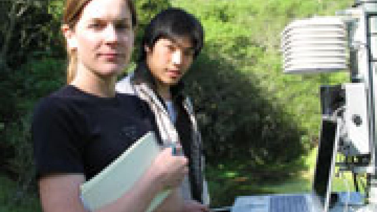 Computer science graduate students Stephanie Liese and Daniel Wu test a wireless communications network that connects a wildland research site to the Internet.