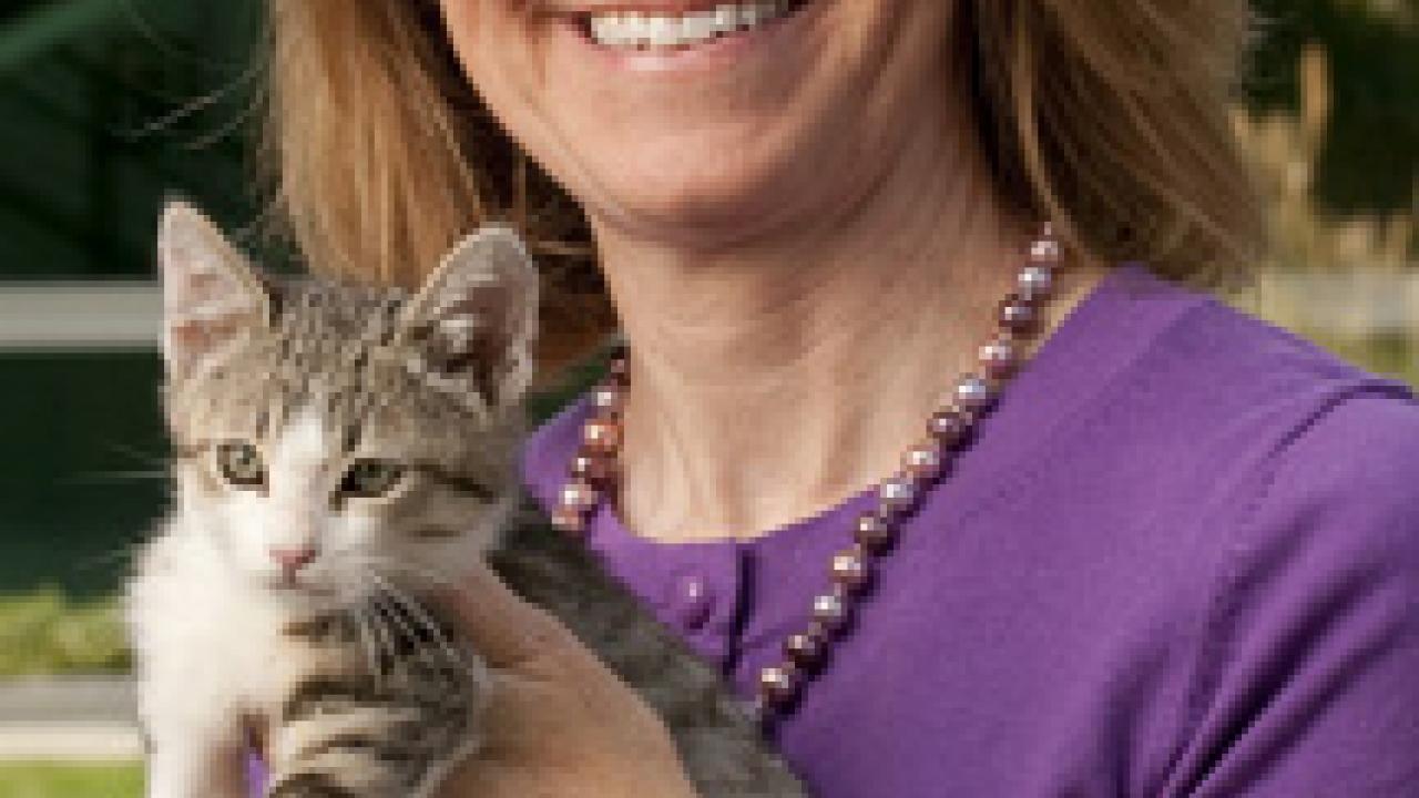 Veterinarian Julie Meadows and a kitten, pictured outside the Community Practice for Small Animals.