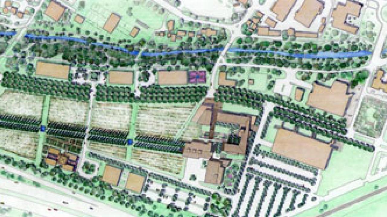This sketch shows an aerial view of the future vineyard- and tree-lined gateway to the campus from Interstate-80, with the Robert Mondavi Institute located roughly in the center of the graphic. 