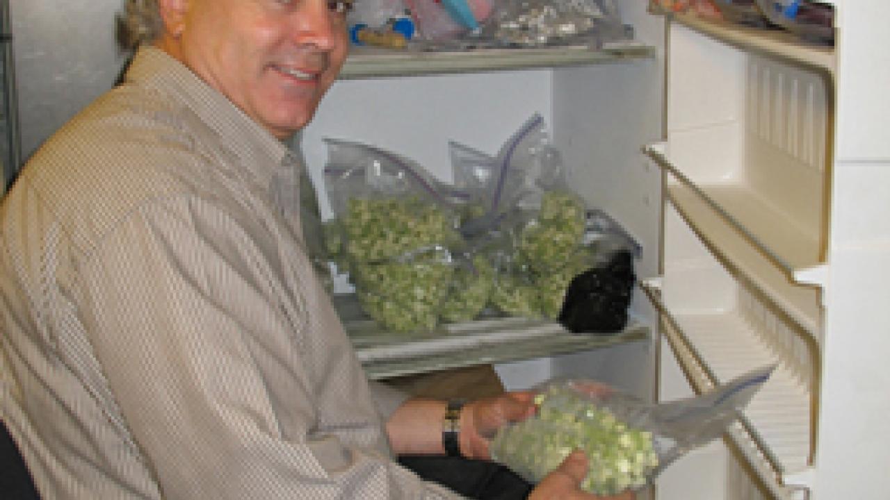 Staff research associate Bill Biasi grabs a bag of apple tissue from a 1978-model freezer, which, if replaced, would bring a rebate.