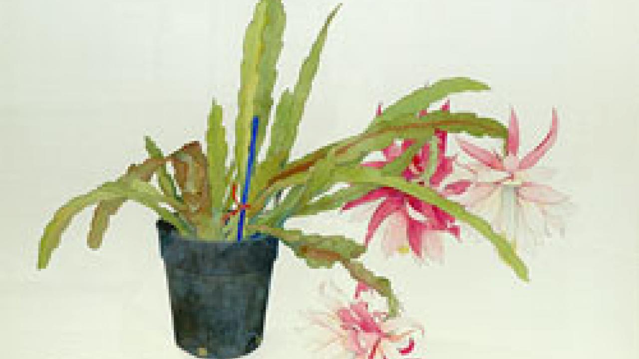 Painting: watercolor painting of a pink flower in a black pot