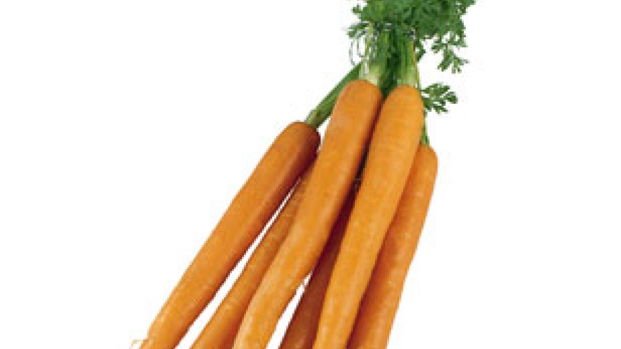 Photo: bunch of carrots