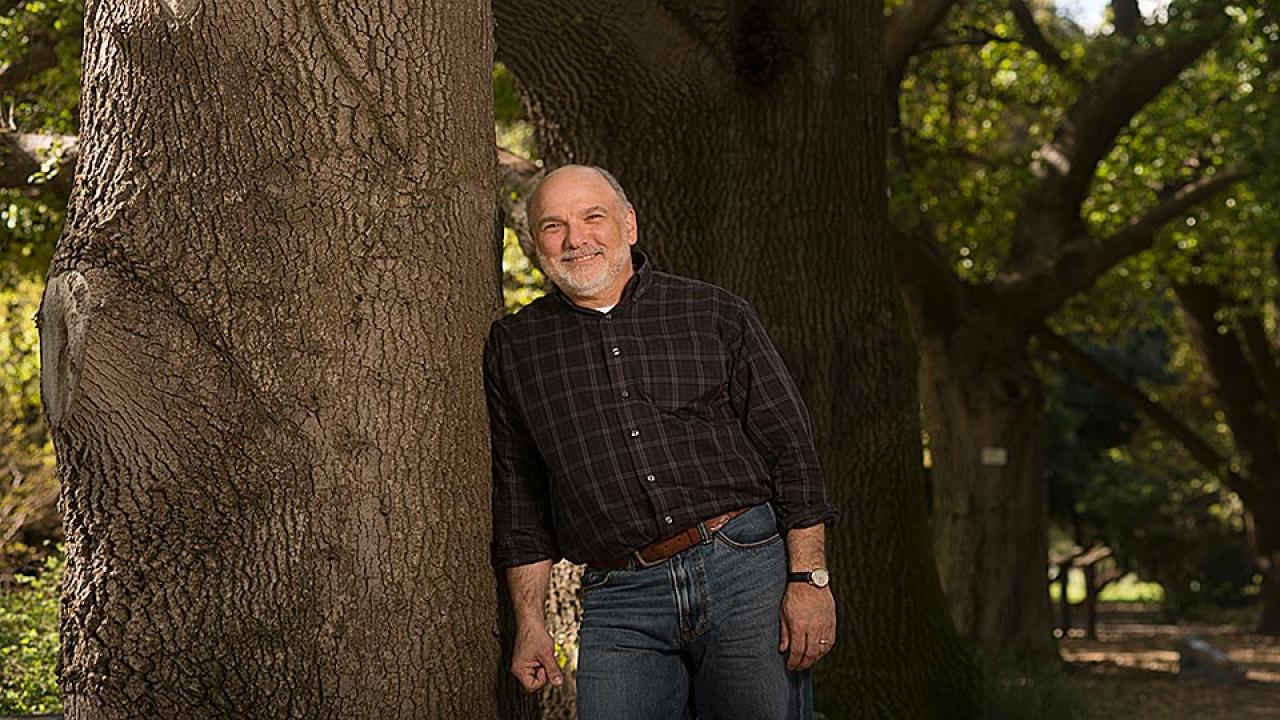 Man in jeans and plaid shirt stands next to trunk of large tree
