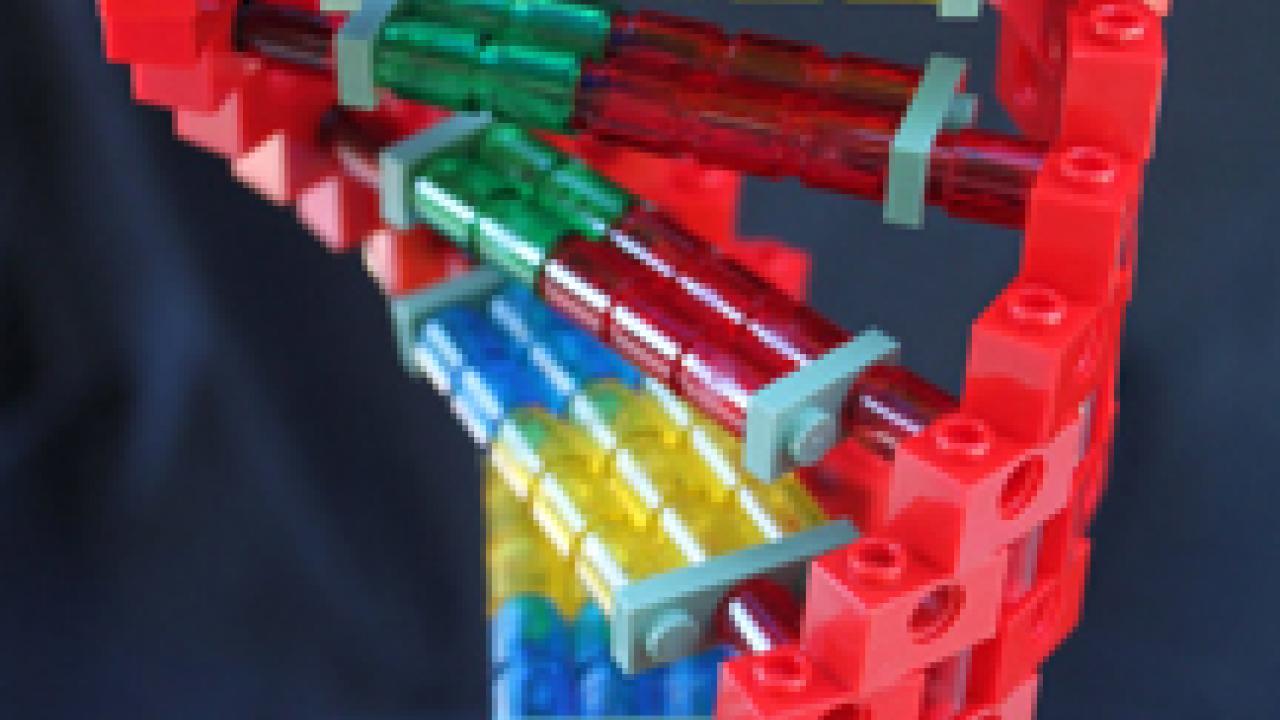 Photo: Lego DNA model by Dawei Lin