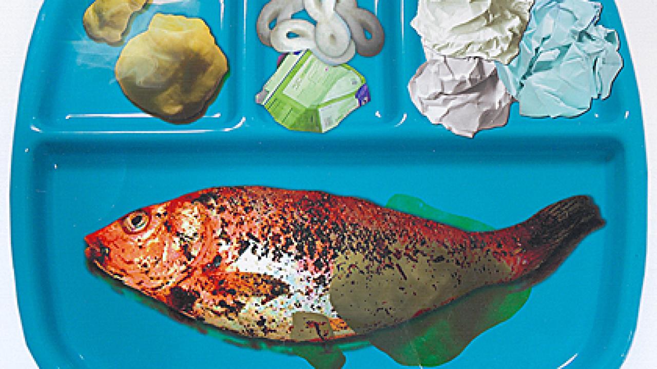 Photo: fish and garbage on tray