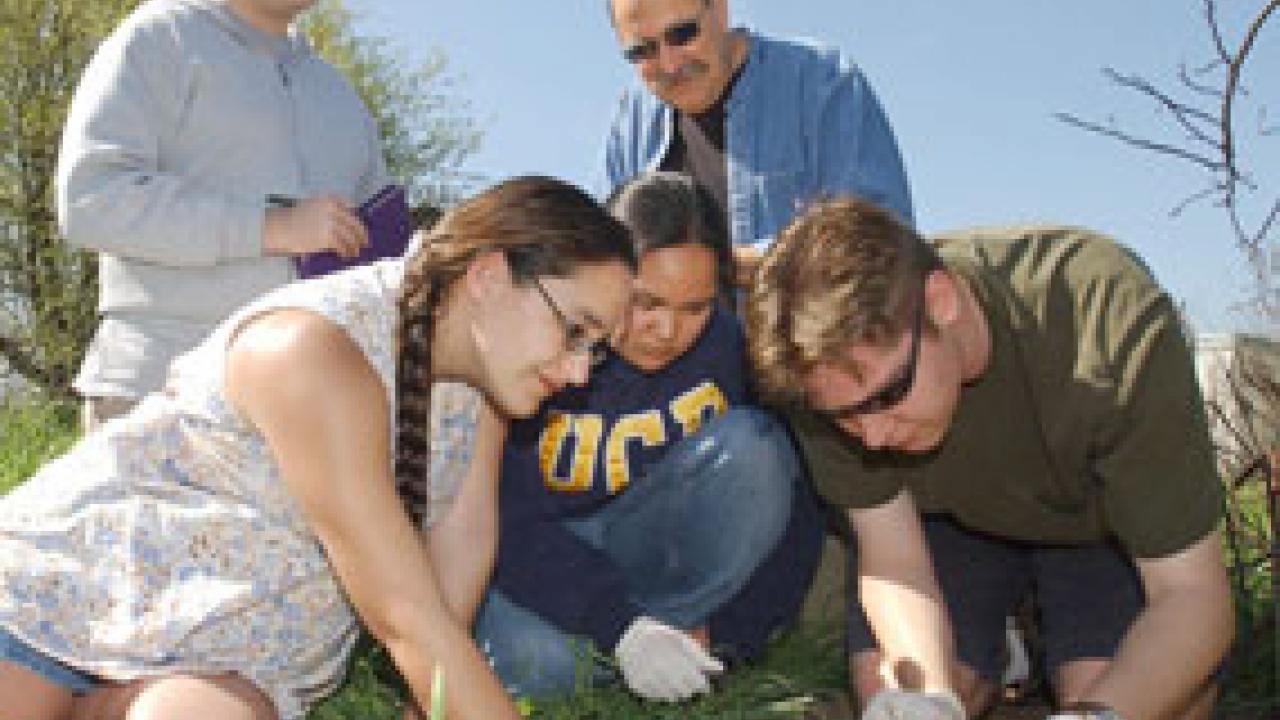 Bob Kimsey, middle top, looks on as students in one of his forensic entomology classes collect specimens from a pig carcass. The team is learning how to make visual inspections and collect temperature data and how to collect insect specimens fro