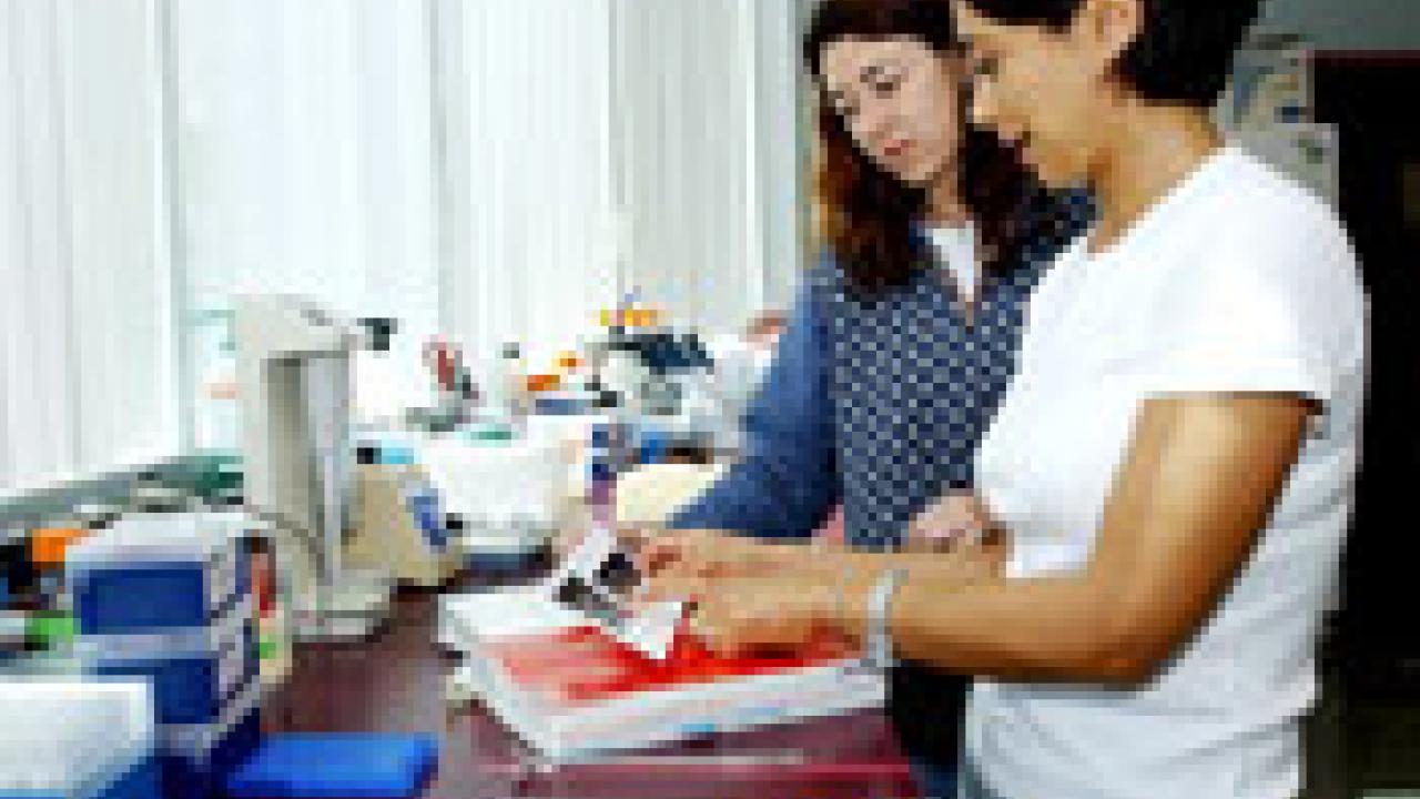 photo of Nina Aboughanem and Cristina Rosa working on a gel protein