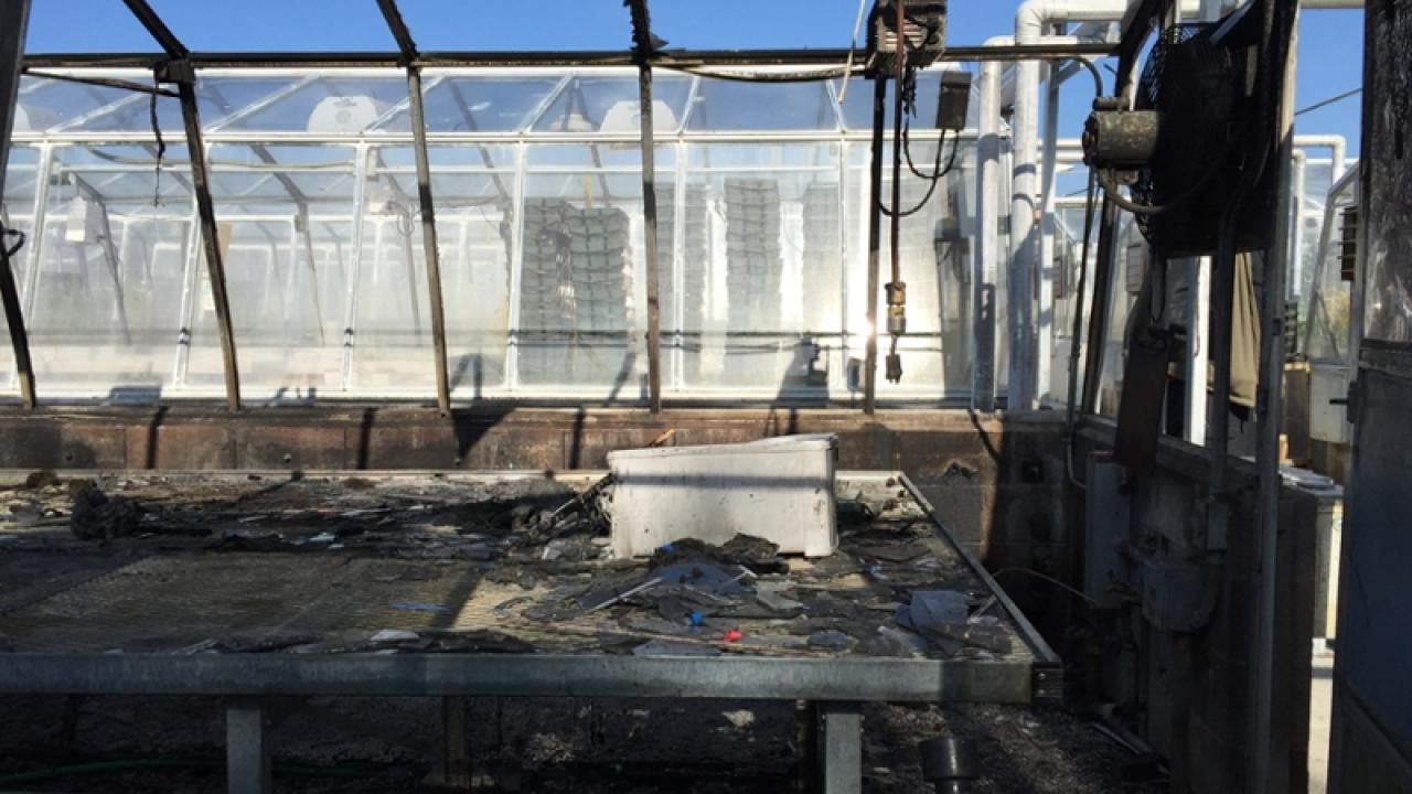 Photo of interior of greenhouse after fire.