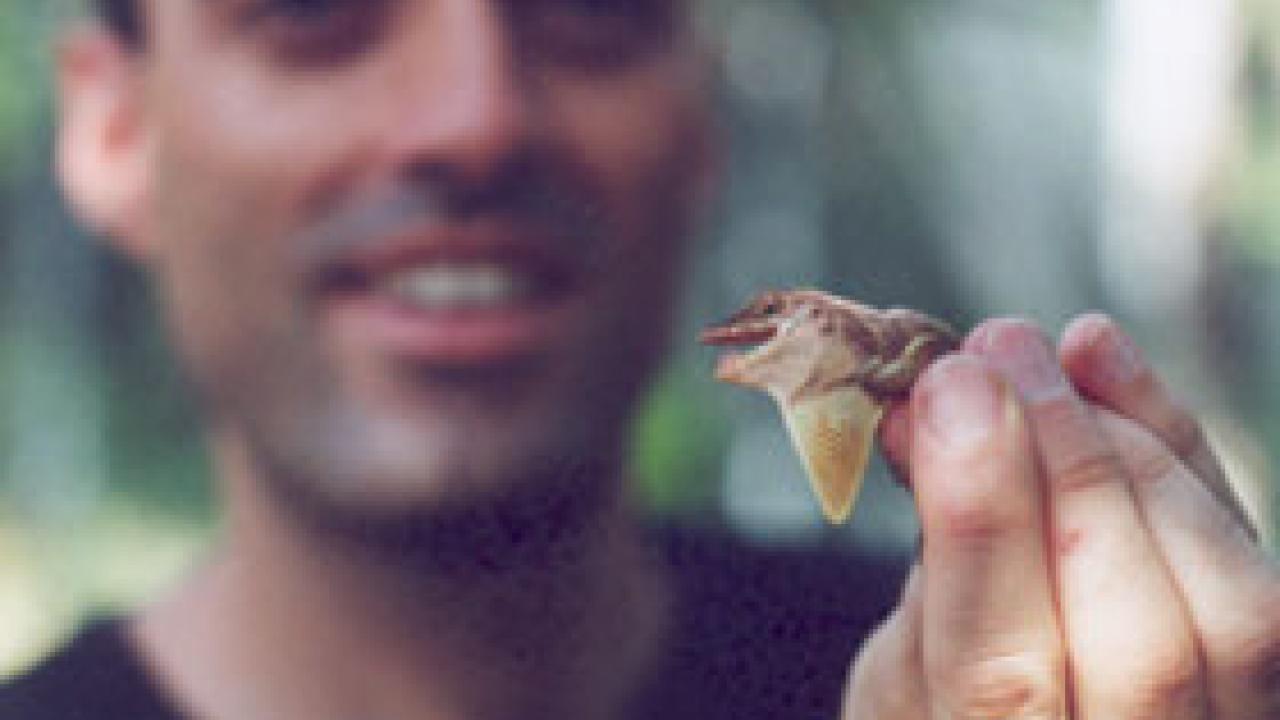 photo: man holding lizard