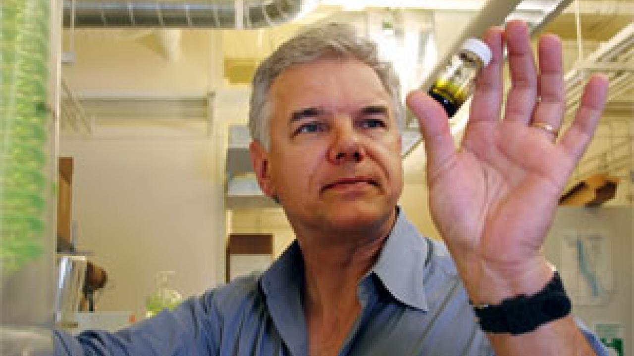 UC Davis chemistry professor Tadeusz Molinski works with extracts from ocean animals in hopes of developing them into new treatments for a variety of ailments and diseases.  