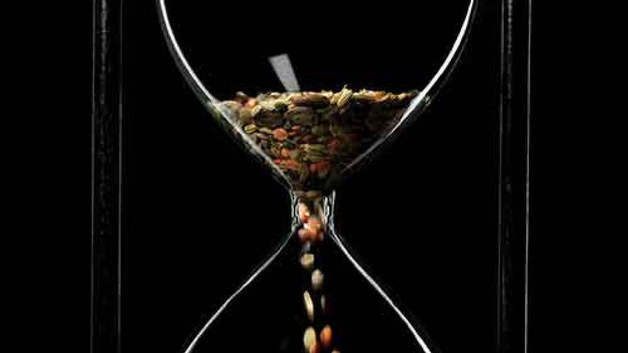 Photo: Hourglass with seeds