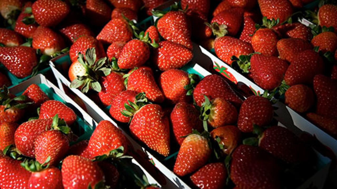 Photo: Fresh strawberries