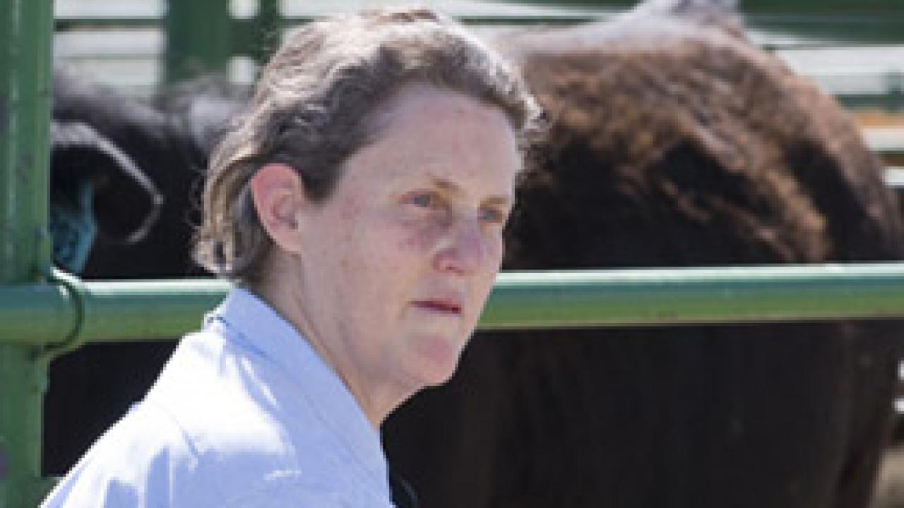 Animal science professor Temple Grandin, who designs livestock handling facilities, is scheduled to discuss autism in two public talks set for Feb. 14 in Freeborn Hall at UC Davis. 