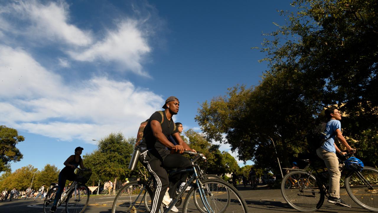 Blue bike cheap student discount