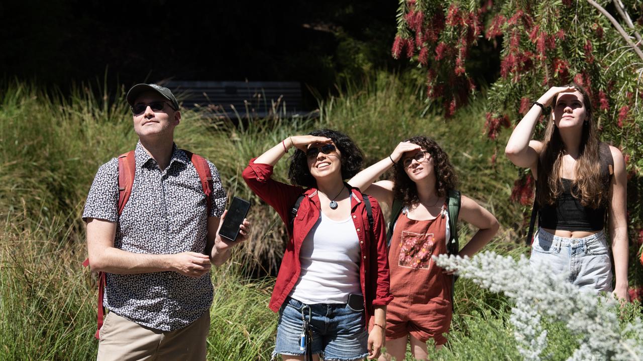 A man with a cell phone and three women, shielding their eyes from the sun, look up into the sky for birds